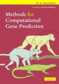 bokomslag Methods for Computational Gene Prediction