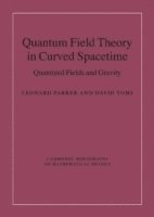 bokomslag Quantum Field Theory in Curved Spacetime