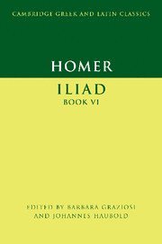 bokomslag Homer: Iliad Book VI