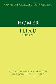 bokomslag Homer: Iliad Book VI