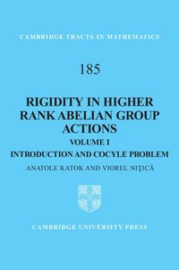 bokomslag Rigidity in Higher Rank Abelian Group Actions: Volume 1, Introduction and Cocycle Problem