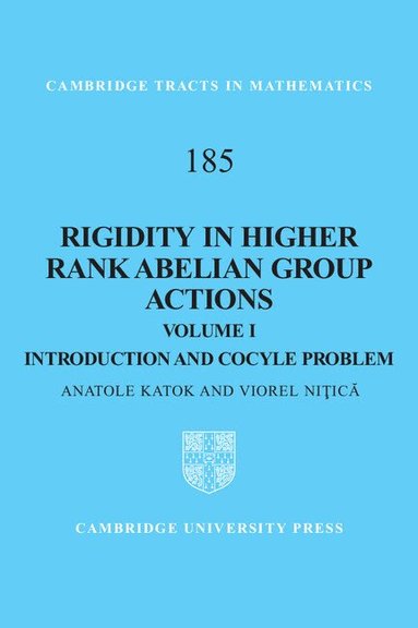 Anatole Katok, Viorel Niţică - Rigidity in Higher Rank Abelian Group Actions: Volume 1, Introduction and Cocycle Problem, Inbunden