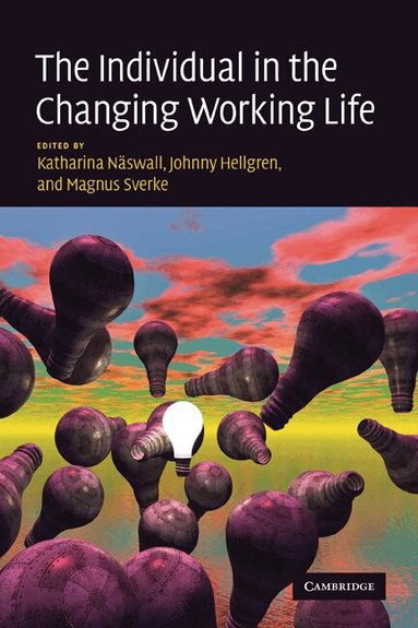 Katharina Naswall, Johnny Hellgren, Magnus Sverke - The Individual in the Changing Working Life, Inbunden