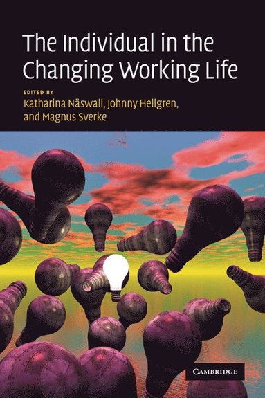 bokomslag The Individual in the Changing Working Life