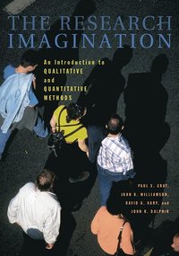 bokomslag The Research Imagination