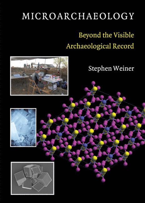 Israel) Weiner, Stephen (Weizmann Institute of Science, Stephen Weiner - Microarchaeology, Inbunden