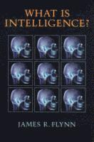 bokomslag What Is Intelligence?