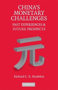 bokomslag China's Monetary Challenges
