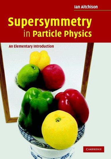 Ian Aitchison - Supersymmetry in Particle Physics, Inbunden