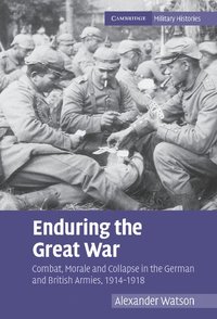 bokomslag Enduring the Great War