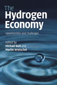 bokomslag The Hydrogen Economy