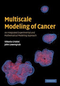 bokomslag Multiscale Modeling of Cancer