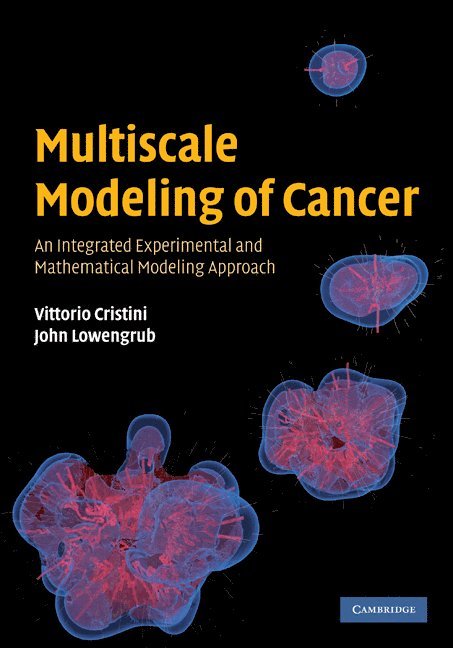 Multiscale Modeling of Cancer 1