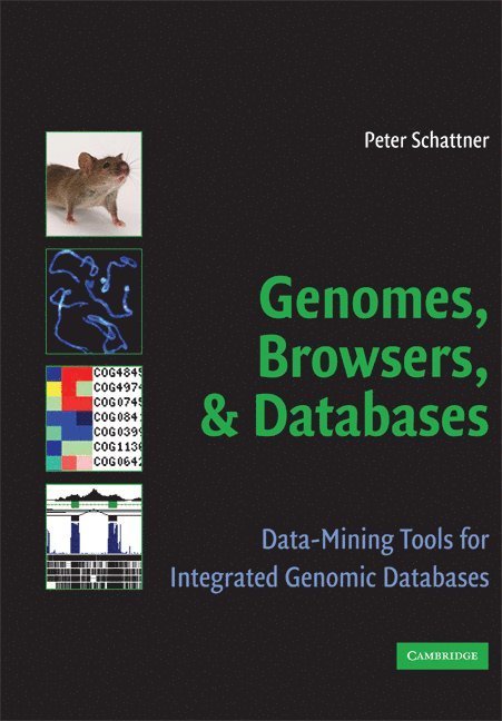 Genomes, Browsers and Databases
