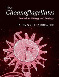 bokomslag The Choanoflagellates