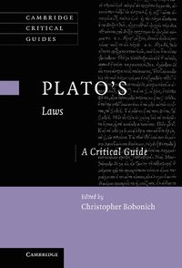 bokomslag Plato's 'Laws'