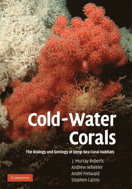 Cold-Water Corals 1