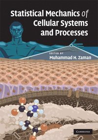 bokomslag Statistical Mechanics of Cellular Systems and Processes