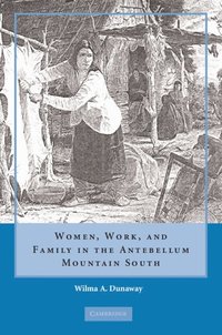 bokomslag Women, Work and Family in the Antebellum Mountain South