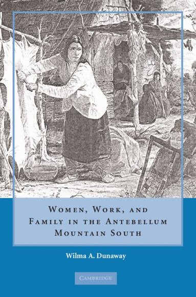 Wilma A. Dunaway - Women, Work and Family in the Antebellum Mountain South, Inbunden