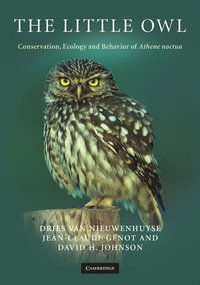 bokomslag The Little Owl: Conservation, Ecology and Behavior of Athene Noctua