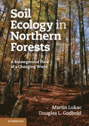 bokomslag Soil Ecology in Northern Forests