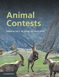 bokomslag Animal Contests