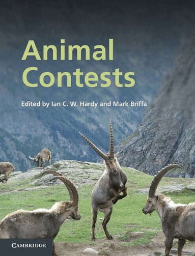 Ian C. W. Hardy, Mark Briffa - Animal Contests, Inbunden