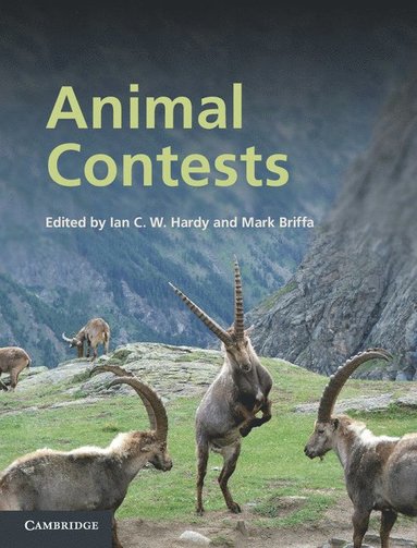 bokomslag Animal Contests