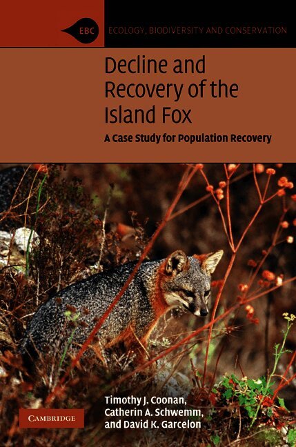 Timothy J. Coonan, Catherin A. Schwemm, David K. Garcelon, Timothy. J. Coonan - Decline and Recovery of the Island Fox, Inbunden