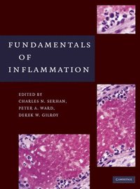 bokomslag Fundamentals of Inflammation