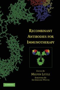 bokomslag Recombinant Antibodies for Immunotherapy