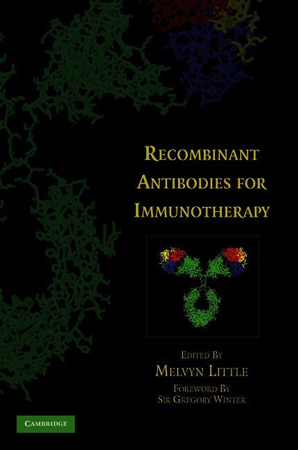 Recombinant Antibodies for Immunotherapy