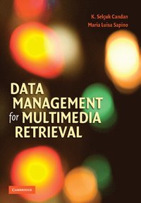 bokomslag Data Management for Multimedia Retrieval