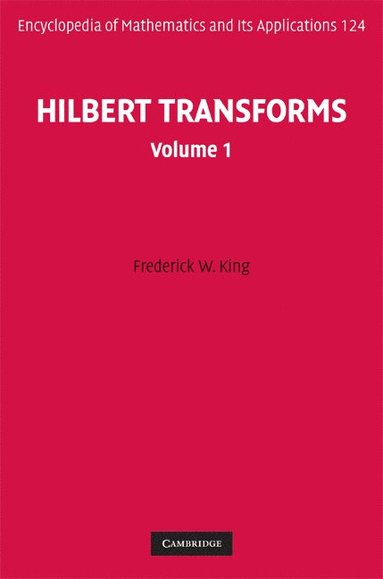 bokomslag Hilbert Transforms: Volume 1