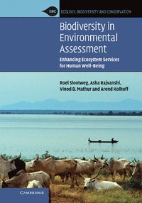 bokomslag Biodiversity in Environmental Assessment