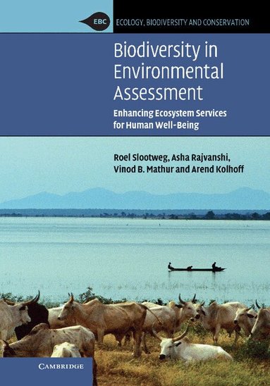 Roel Slootweg, Asha Rajvanshi, Vinod B. Mathur, Arend Kolhoff - Biodiversity in Environmental Assessment, Inbunden