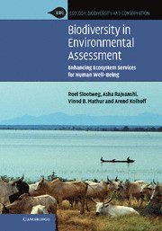 bokomslag Biodiversity in Environmental Assessment