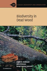 bokomslag Biodiversity in Dead Wood