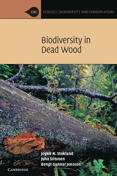 bokomslag Biodiversity in Dead Wood