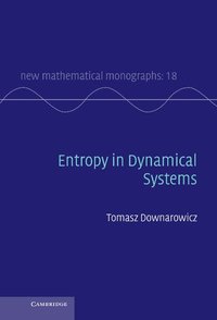 bokomslag Entropy in Dynamical Systems