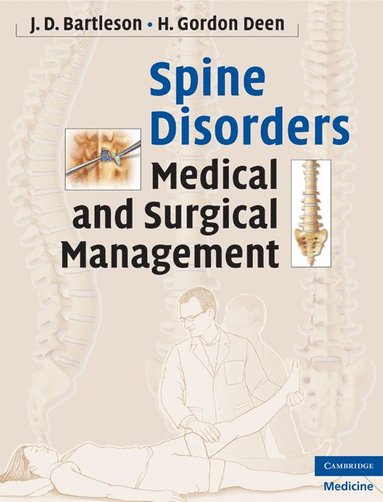 bokomslag Spine Disorders