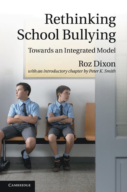 Rethinking School Bullying 1