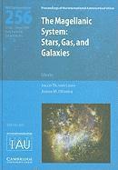 bokomslag Magellanic System (IAU S256)
