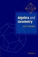 bokomslag Algebra and Geometry