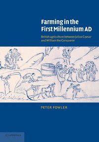 bokomslag Farming in the First Millennium AD