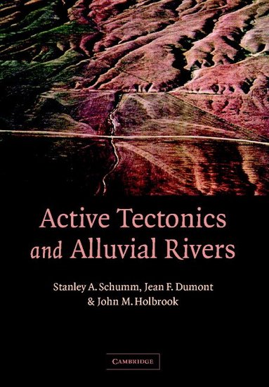 Stanley A. Schumm, Jean F. Dumont, John M. Holbrook - Active Tectonics and Alluvial Rivers, Häftad