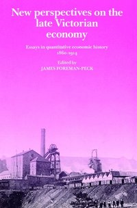 bokomslag New Perspectives on the Late Victorian Economy