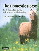 bokomslag The Domestic Horse