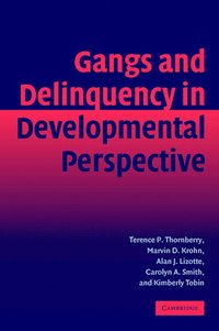 bokomslag Gangs and Delinquency in Developmental Perspective